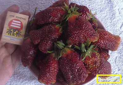 Растете ягоди във всеки ъгъл на страната: най-добрите