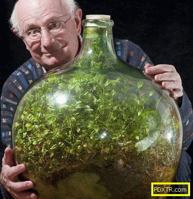 Пенсионер вдигна градина в бутилка