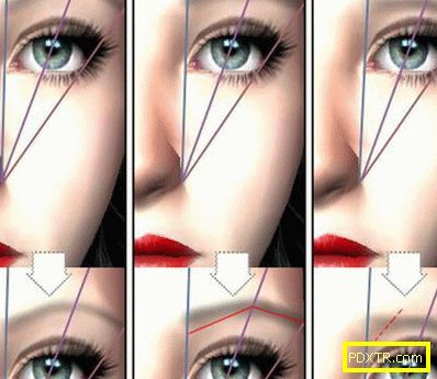 Правилната форма на веждите за различните типове лице