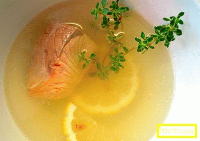 Рибен бульон - най-добрите рецепти. как да готвя рибния