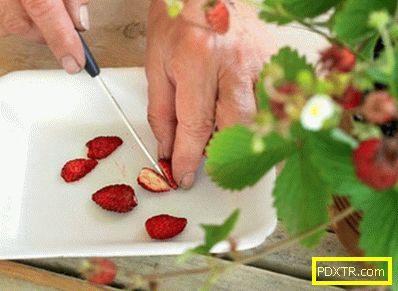 Как да гарантираме отглеждането на ягоди от семена: тайни.