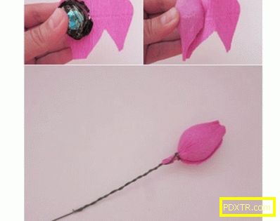 Чудотворно чудо: как да направите роза от гофрирана хартия.