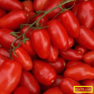 Преглед на най-добрите сортове домати за открито място в