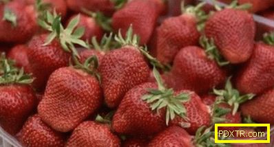 Растете ягоди във всеки ъгъл на страната: най-добрите