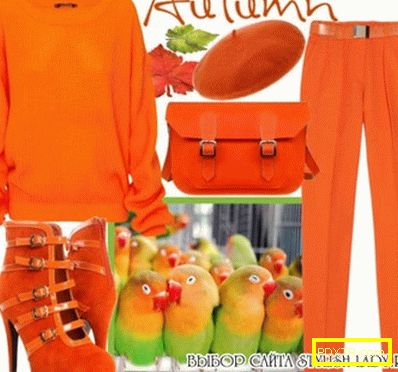С какво да носите оранжеви панталони, снимка