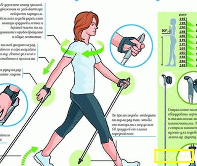 Техниката на скандинавското ходене - как да вървим правилно