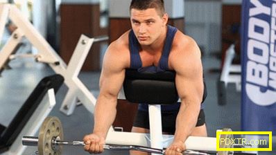 Тренировка бицепса: упражнения для дома и тренажерного зала