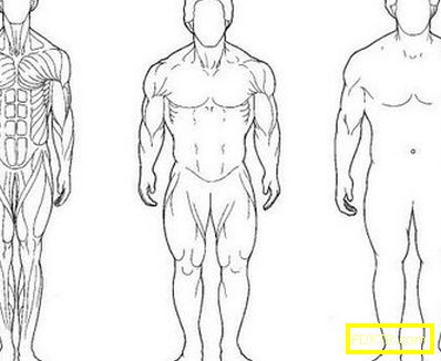 Как да увеличите мускулите без стероиди