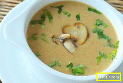 Супа с гъби - най-добрите рецепти. как да подготвим гъбната