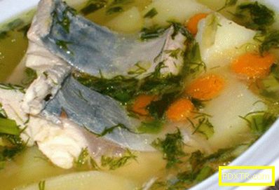 Скумрия супа - най-добрите рецепти. как да готвя супа и