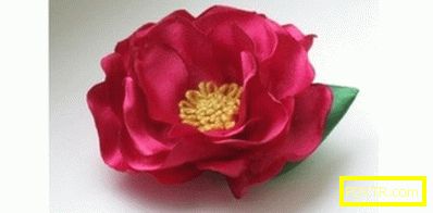 Цветя kanzashi от сатен панделки: прости начини за вземане