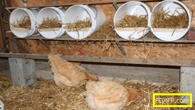 Гнезда за кокошки носачки от собствените им ръце: от какво и