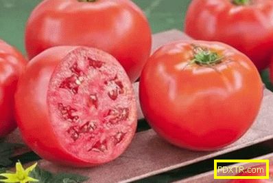 Преглед на най-добрите сортове домати за открито място в