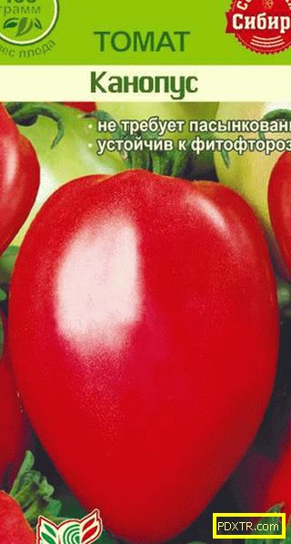 Най-добрите сортове домати за сибир. преглед на най-добрите